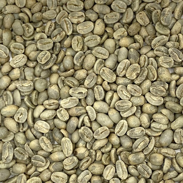 Las Segovias Coop SHG